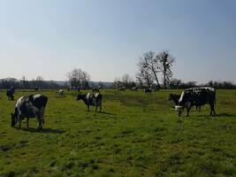 Agriculture Paysanne