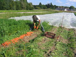 L’histoire du projet d’Agriculture paysanne