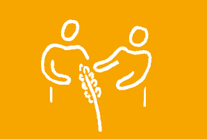 Animer le groupe blé de l'ARDEAR