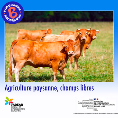 Un nouveau podcast pour découvrir l’Agriculture paysanne !