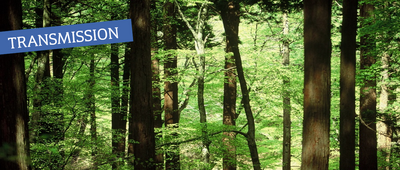 TRANSMISSION |Recherche d’un ou de travailleurs indépendants pour l’entretien d’un site forestier| 35 ha
