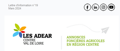Lettre d'information foncière N°19