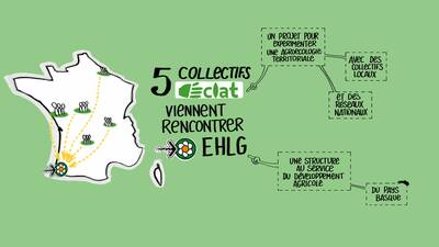 Quand les collectifs d'agriculteurs·trices portent la transition agroécologique