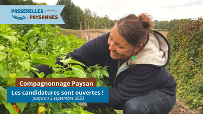Postulez à la session printemps 2025 du compagnonnage paysan !