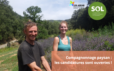 Passerelles Paysannes : les sessions 2024 du compagnonnage ouvertes aux candidatures