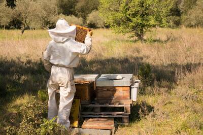 24 Sept - Installation et reprise en apiculture