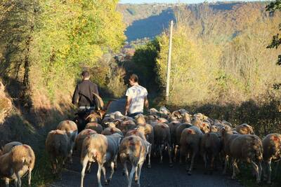 Visites de ferme 2025