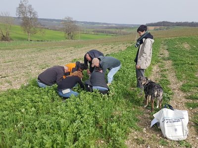 Rendez-vous mardi 22 septembre 2026 pour une journée consacrée aux échanges de pratiques en maraîchage sur sol vivant ! 🧑‍🌾
