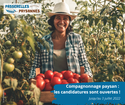 Lancement des candidatures pour la session 2022 de compagnonnage paysan