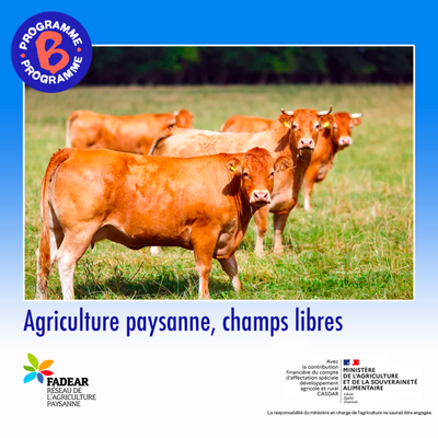 Agriculture paysanne, champs libres