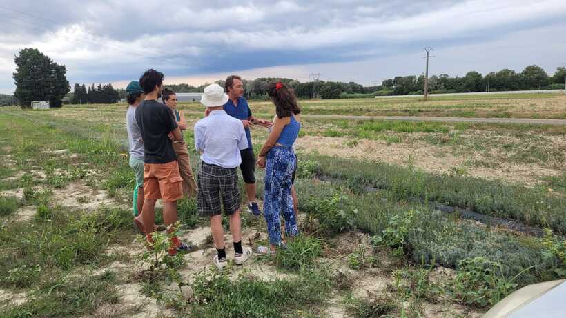 Visite de la pépinière de Laurent à Mondragon (84)