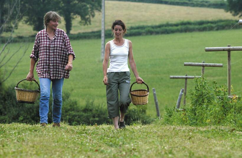 Favoriser la transmission des fermes